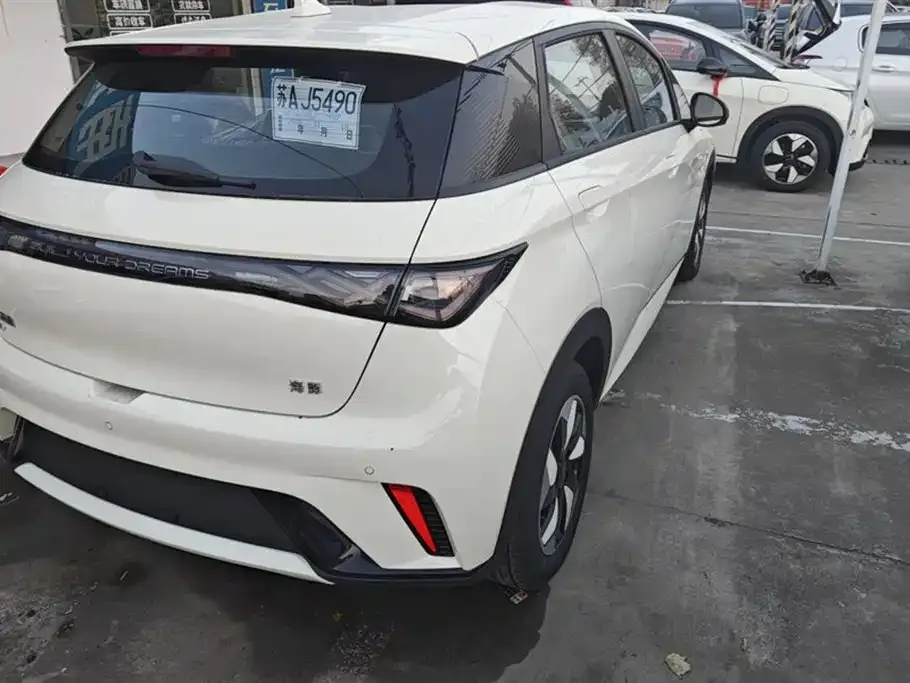 BYD Dolphin 2025 из CN, фото 3