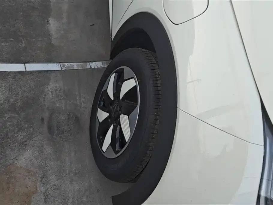 BYD Dolphin 2025 из CN, фото 6