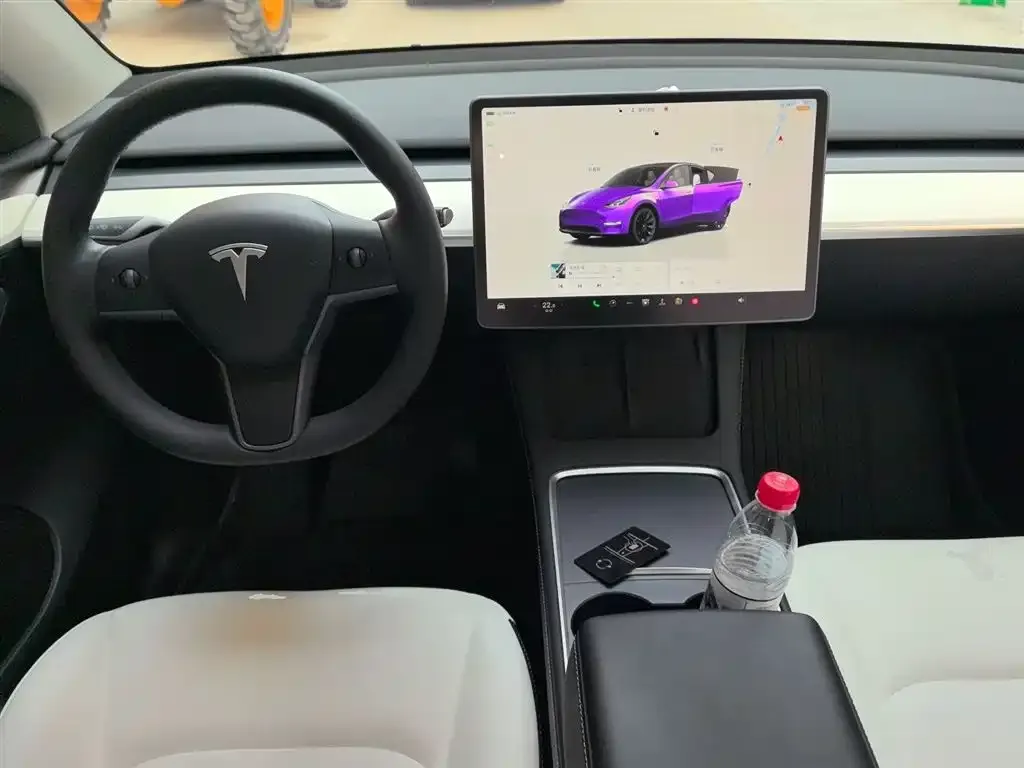 Tesla Model Y 2023 из CN, фото 6