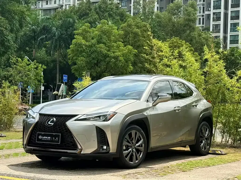 Lexus UX 2021 из CN, фото 1