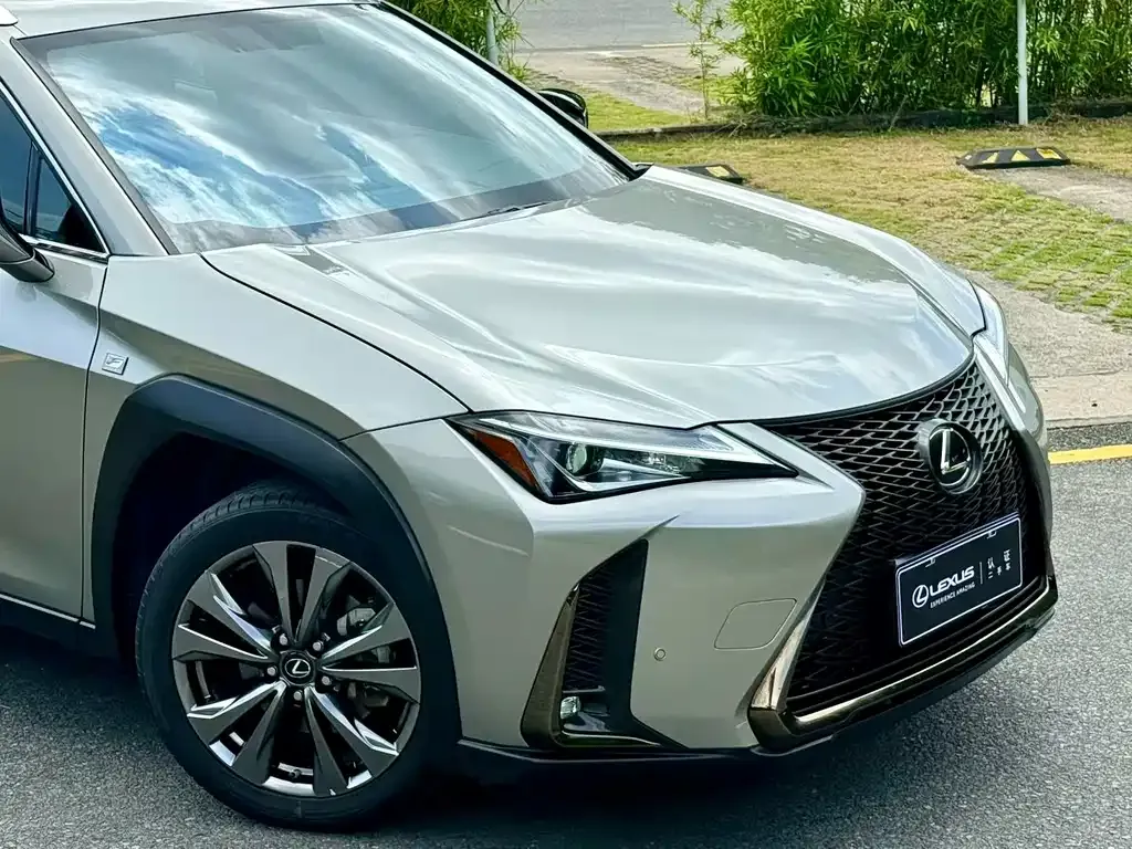 Lexus UX 2021 из CN, фото 6