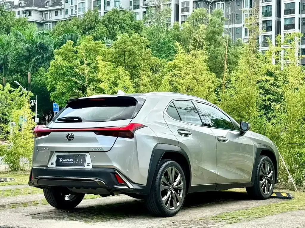 Lexus UX 2021 из CN, фото 9