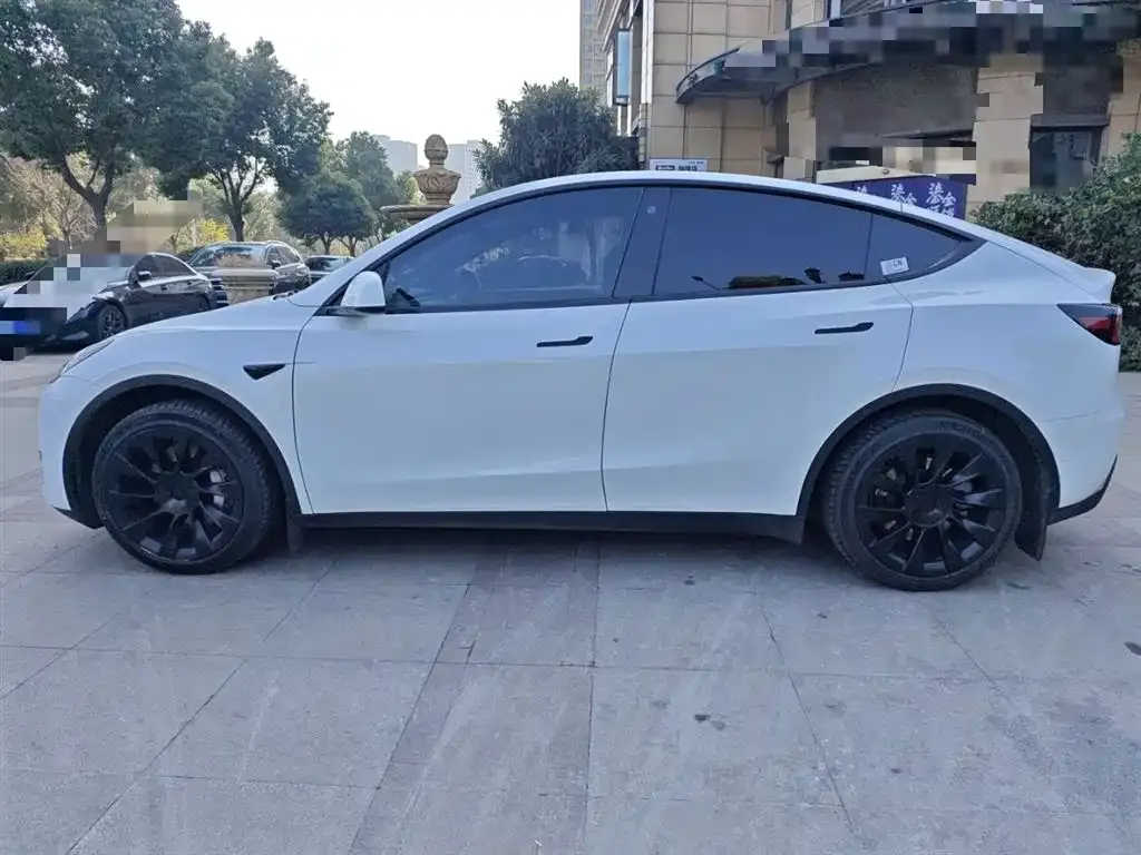 Tesla Model Y 2023 из CN, фото 6