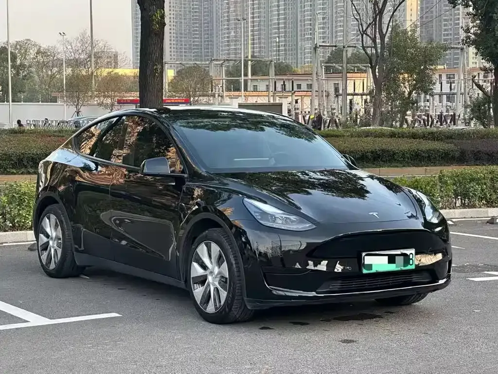Tesla Model Y 2022 из CN, фото 9