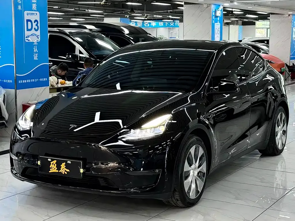 Tesla Model Y 2021 из CN, фото 1