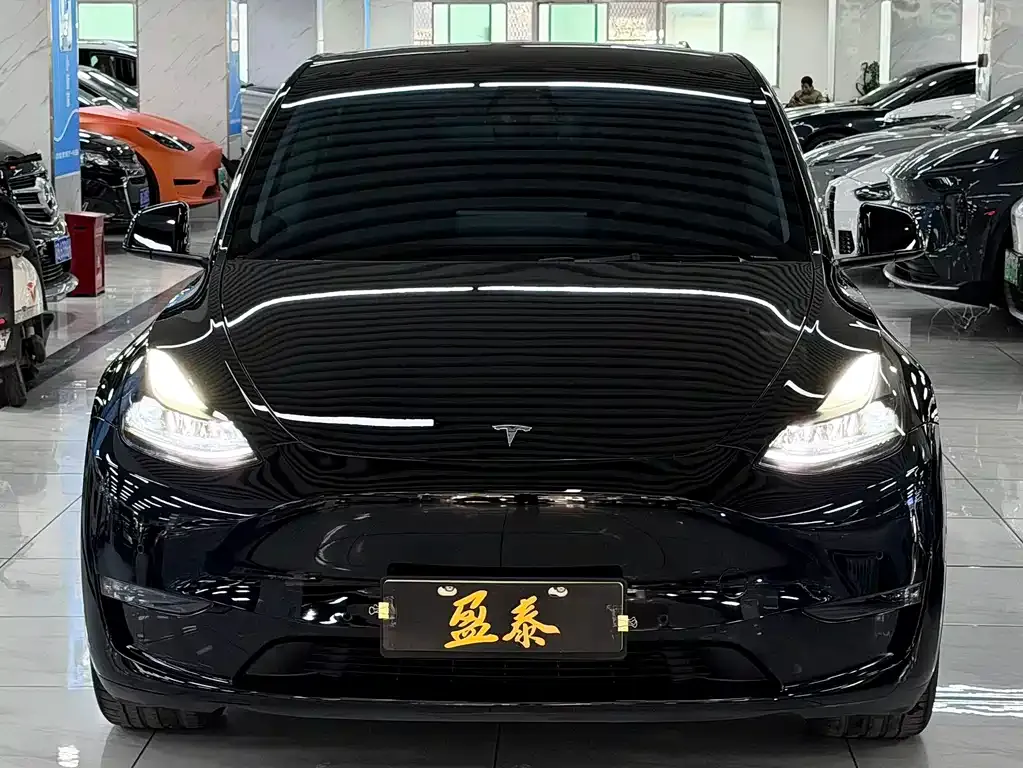 Tesla Model Y 2021 из CN, фото 3