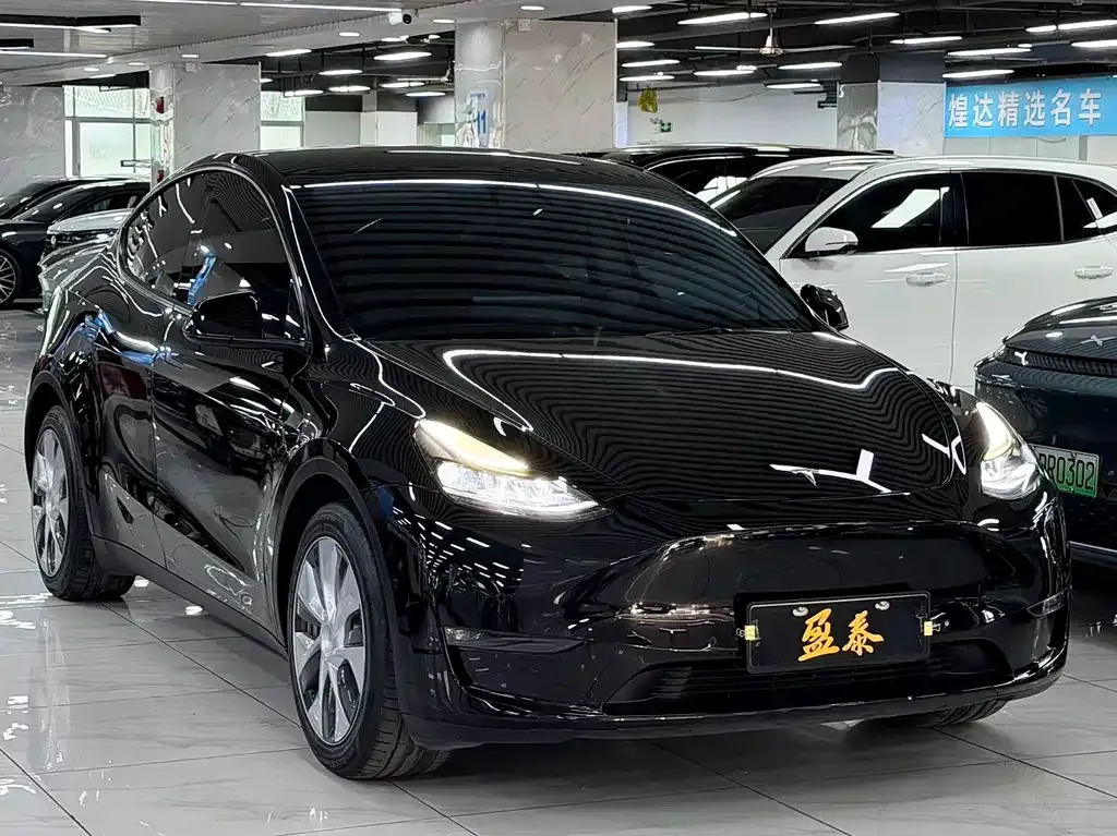 Tesla Model Y 2021 из CN, фото 5