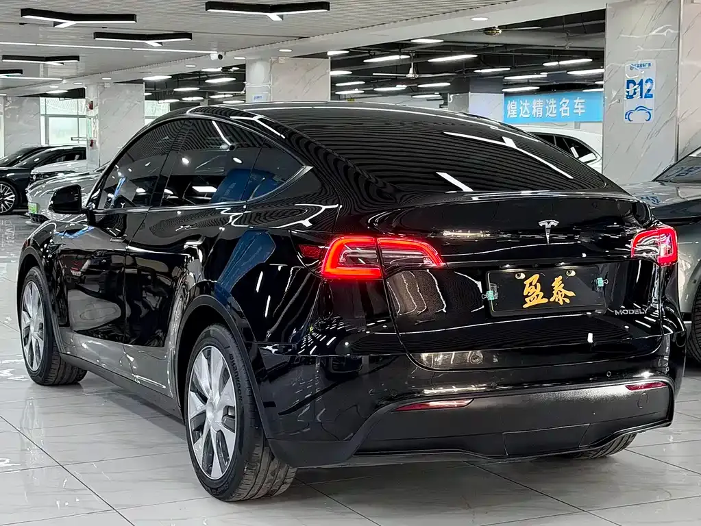 Tesla Model Y 2021 из CN, фото 8