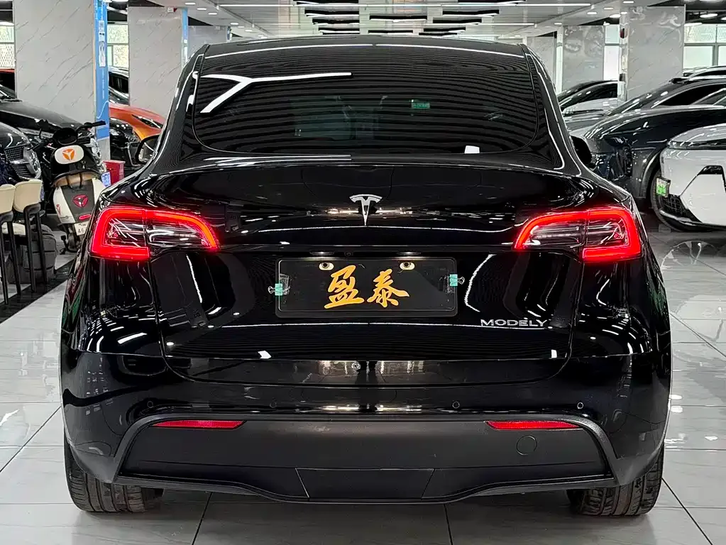 Tesla Model Y 2021 из CN, фото 6