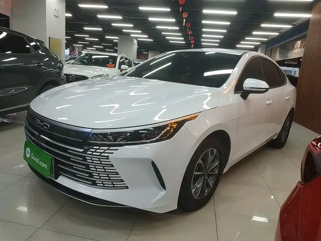 BYD Destroyer 05 2024 из CN, фото 2