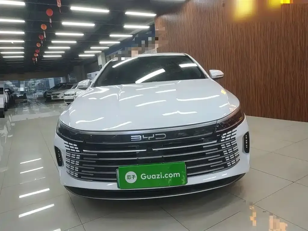 BYD Destroyer 05 2024 из CN, фото 3