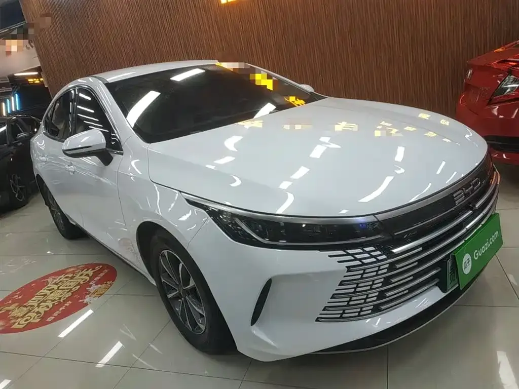 BYD Destroyer 05 2024 из CN, фото 4