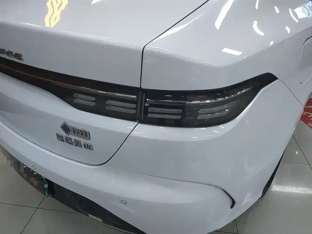 BYD Destroyer 05 2024 из CN, фото 8