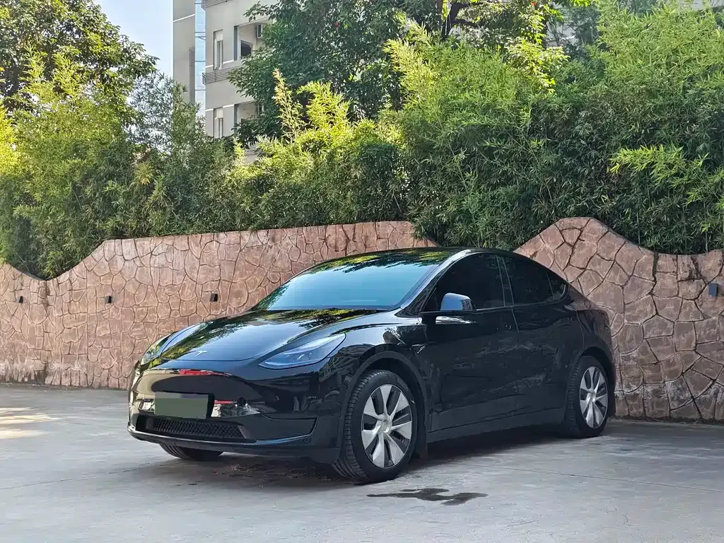 Tesla Model Y 2023 из CN, фото 1