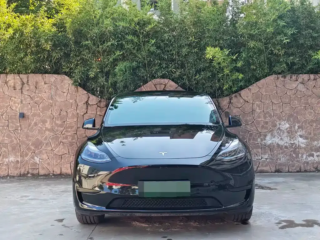 Tesla Model Y 2023 из CN, фото 2