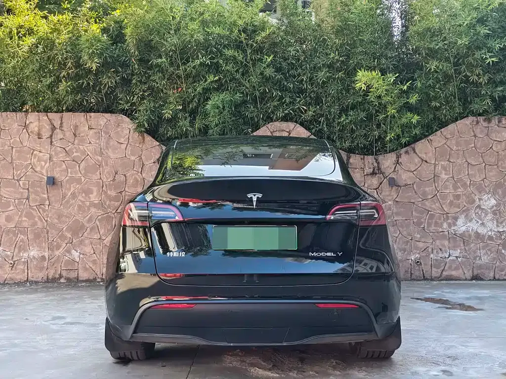 Tesla Model Y 2023 из CN, фото 5