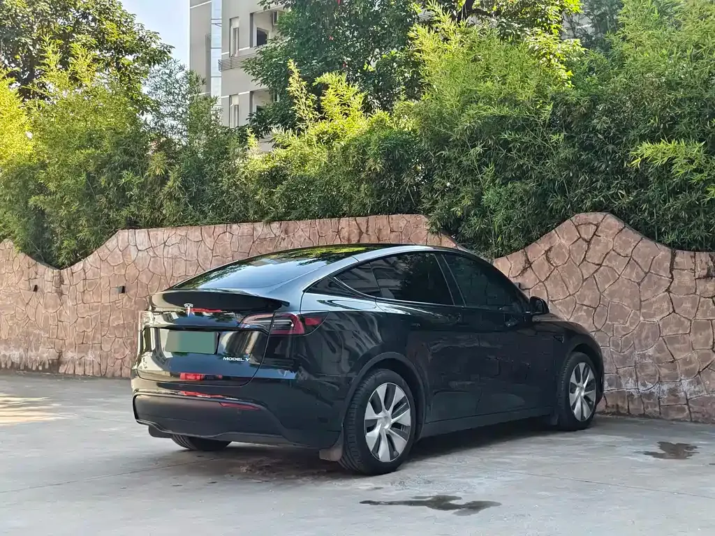 Tesla Model Y 2023 из CN, фото 6
