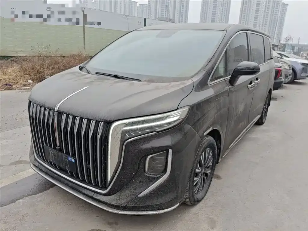 Hongqi HQ9 PHEV 2024 из CN, фото 6