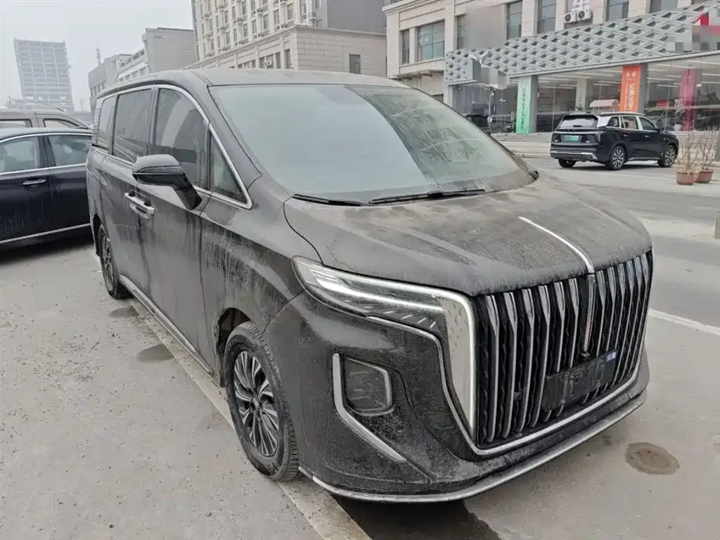 Hongqi HQ9 PHEV 2024 из CN, фото 3