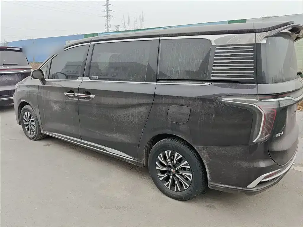 Hongqi HQ9 PHEV 2024 из CN, фото 4
