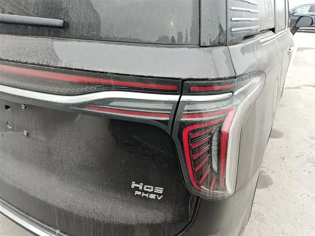 Hongqi HQ9 PHEV 2024 из CN, фото 10