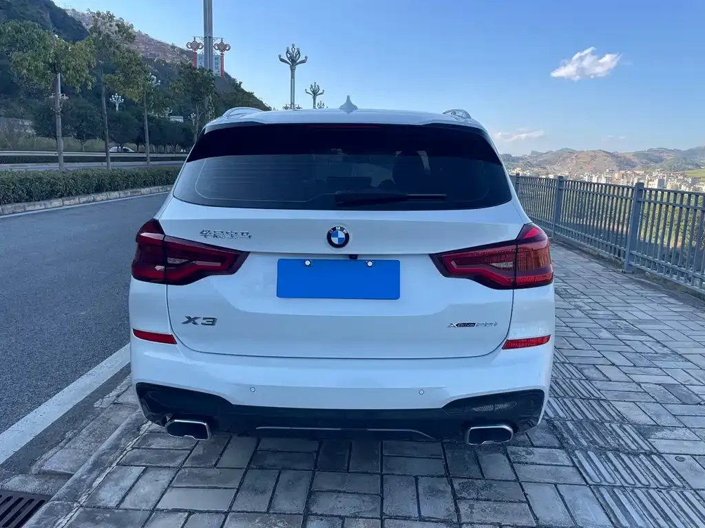 BMW X3 2021 из CN, фото 3