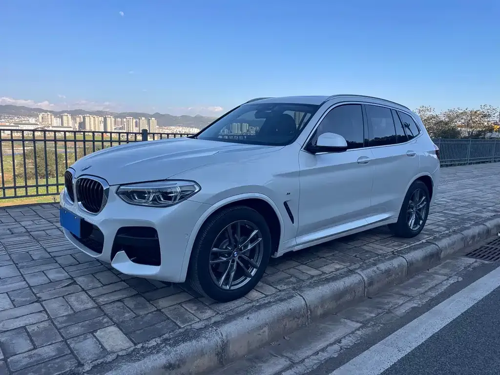 BMW X3 2021 из CN, фото 4