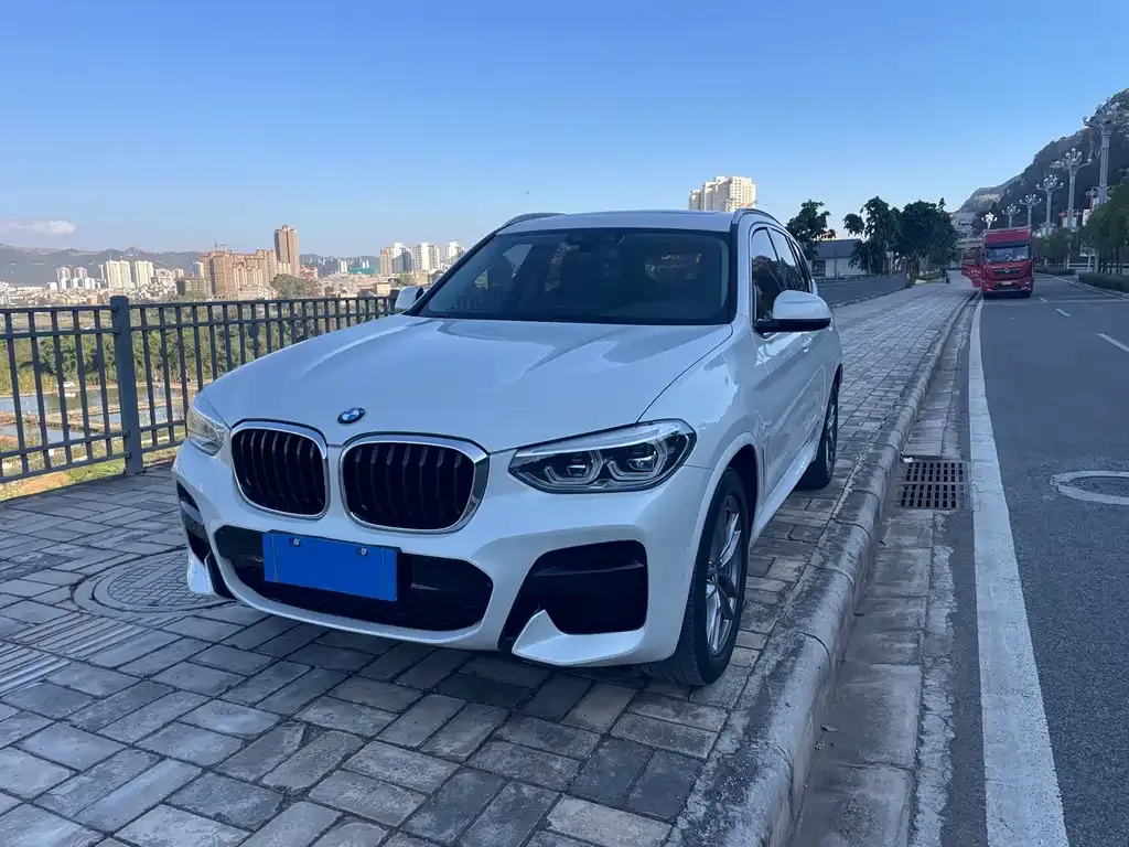 BMW X3 2021 из CN, фото 5
