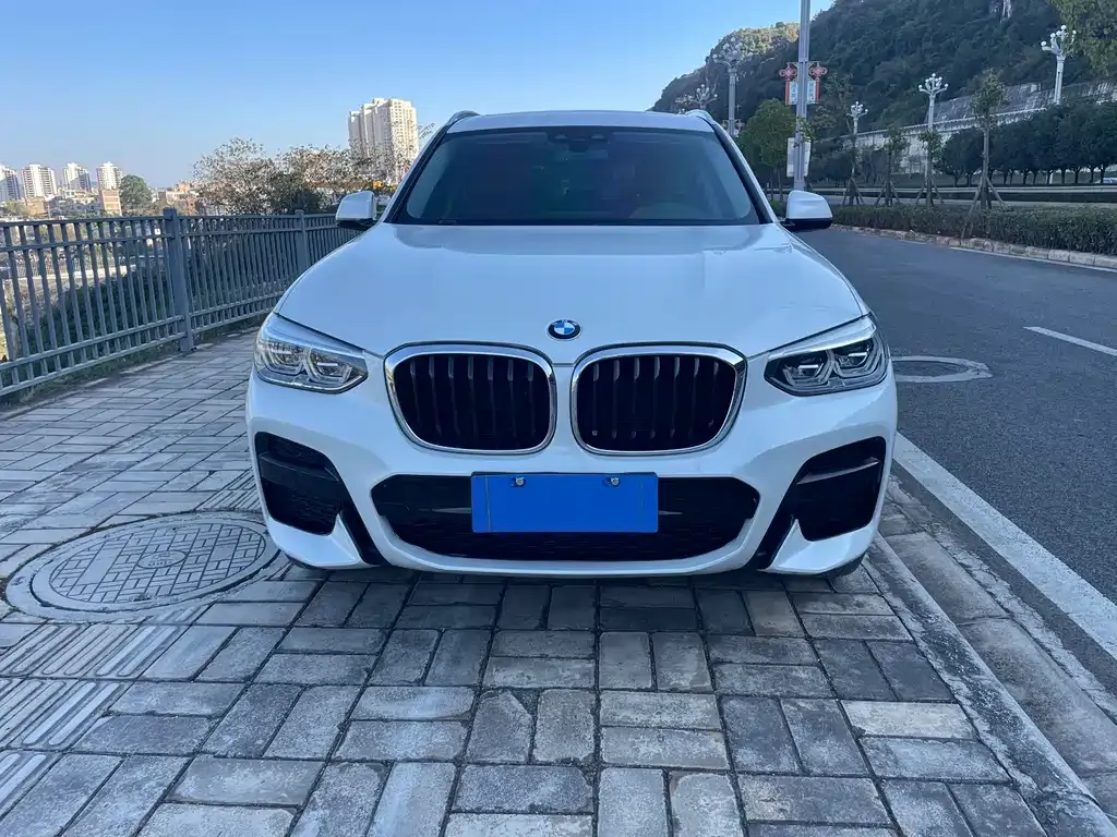 BMW X3 2021 из CN, фото 9