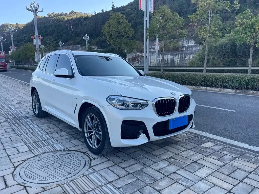 BMW X3 2021 из CN, фото 8