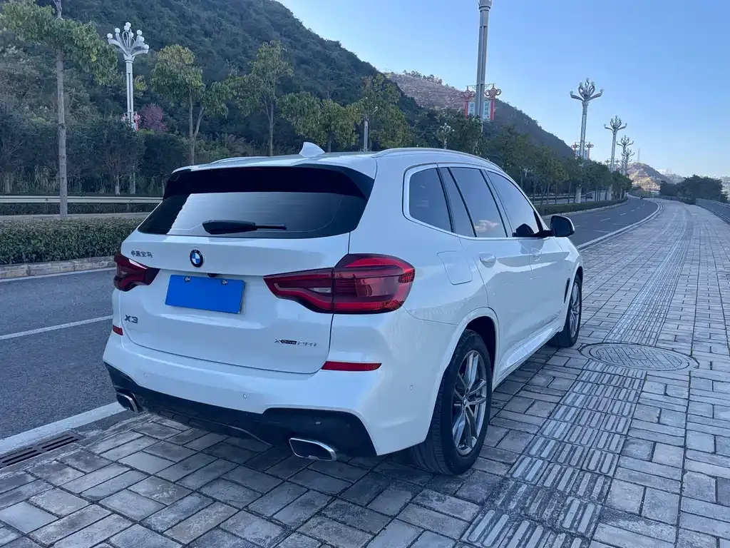 BMW X3 2021 из CN, фото 10