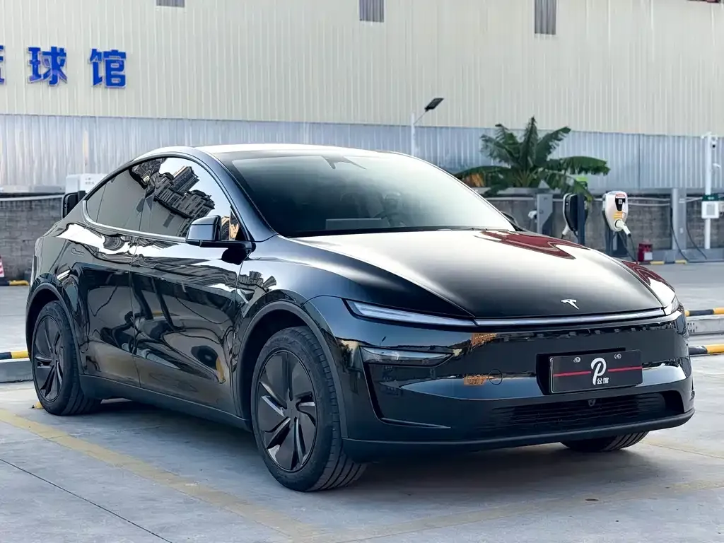 Tesla Model Y 2025 из CN, фото 8