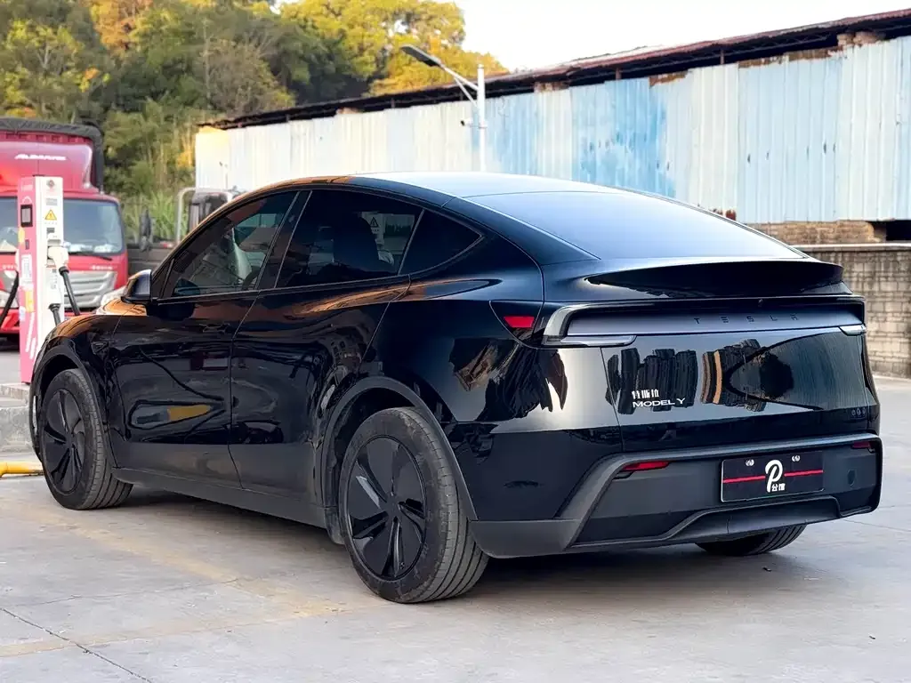 Tesla Model Y 2025 из CN, фото 10