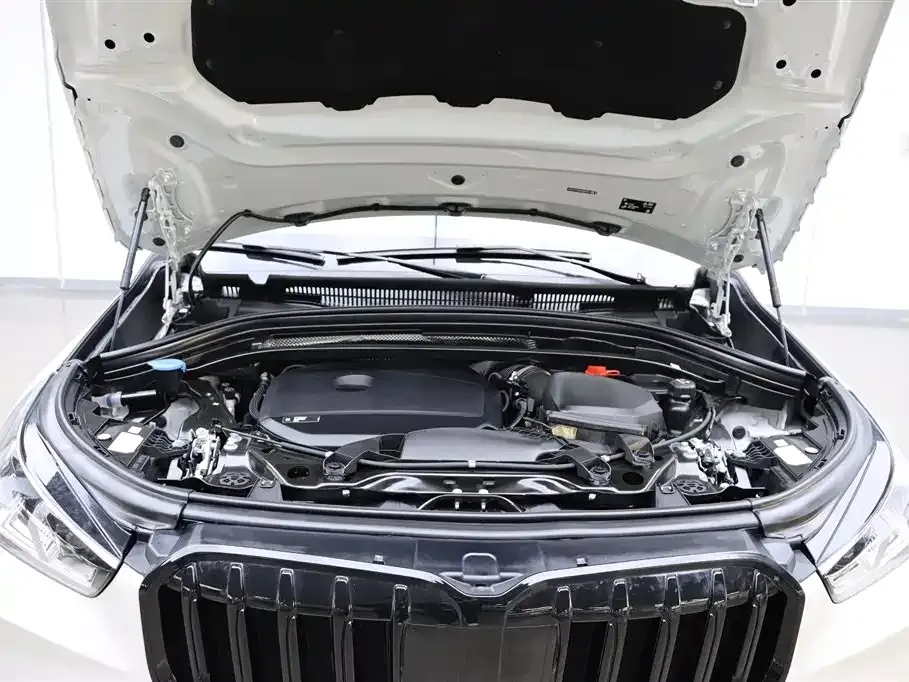BMW X1 2024 из CN, фото 5