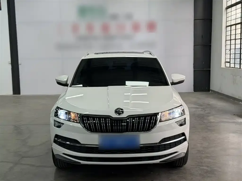 Skoda Karoq 2022 из CN, фото 6