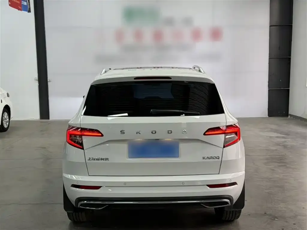 Skoda Karoq 2022 из CN, фото 9