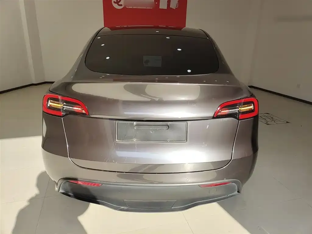 Tesla Model Y 2021 из CN, фото 3