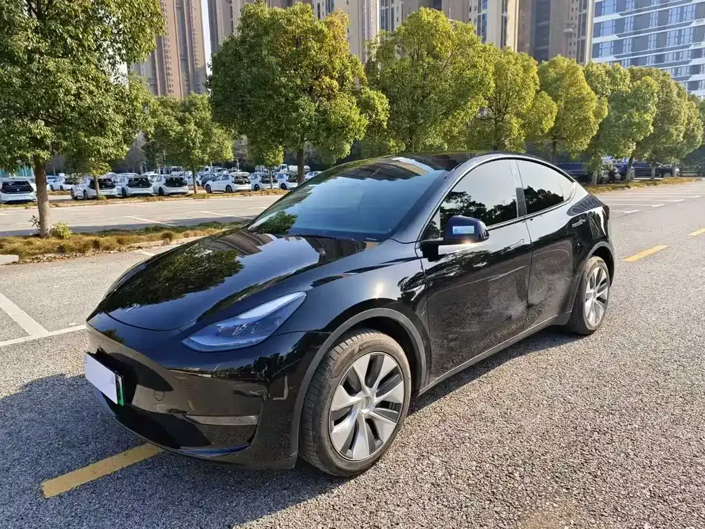 Tesla Model Y 2023 из CN, фото 1