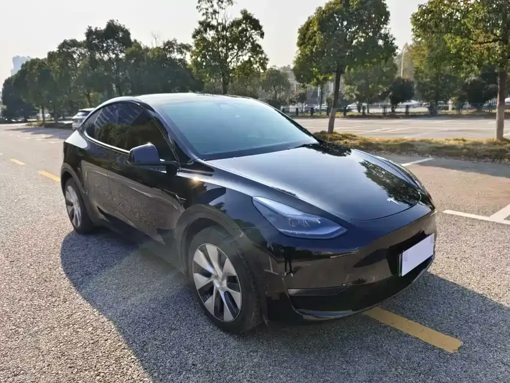 Tesla Model Y 2023 из CN, фото 3