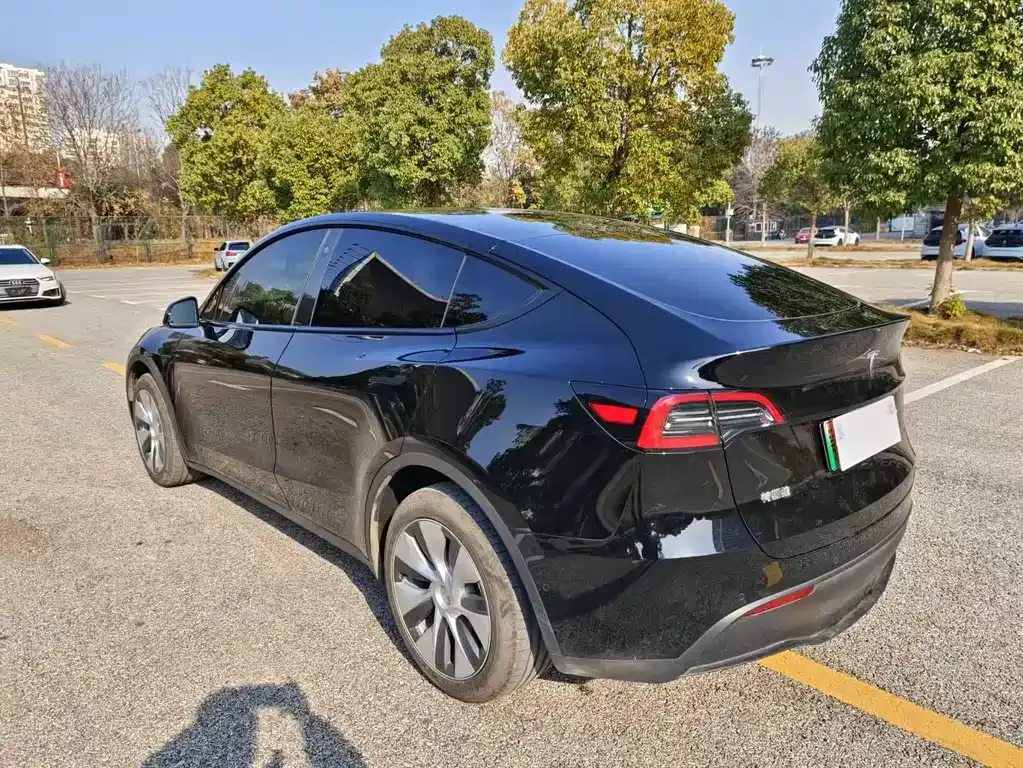 Tesla Model Y 2023 из CN, фото 5