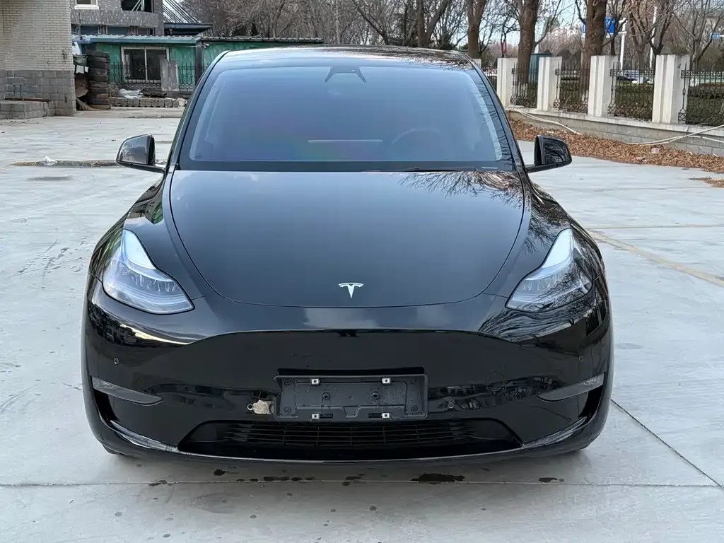 Tesla Model Y 2022 из CN, фото 2