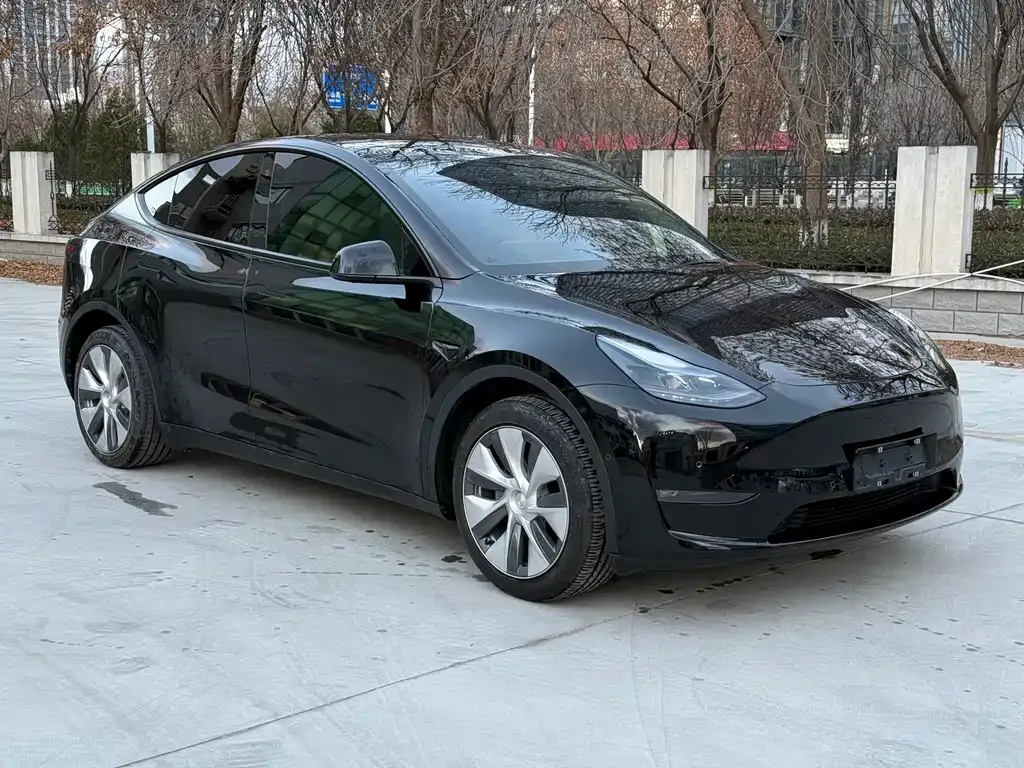 Tesla Model Y 2022 из CN, фото 3