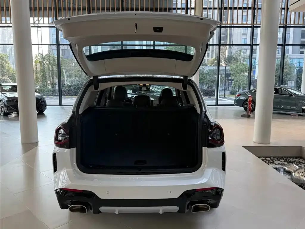 BMW X3 2024 из CN, фото 6