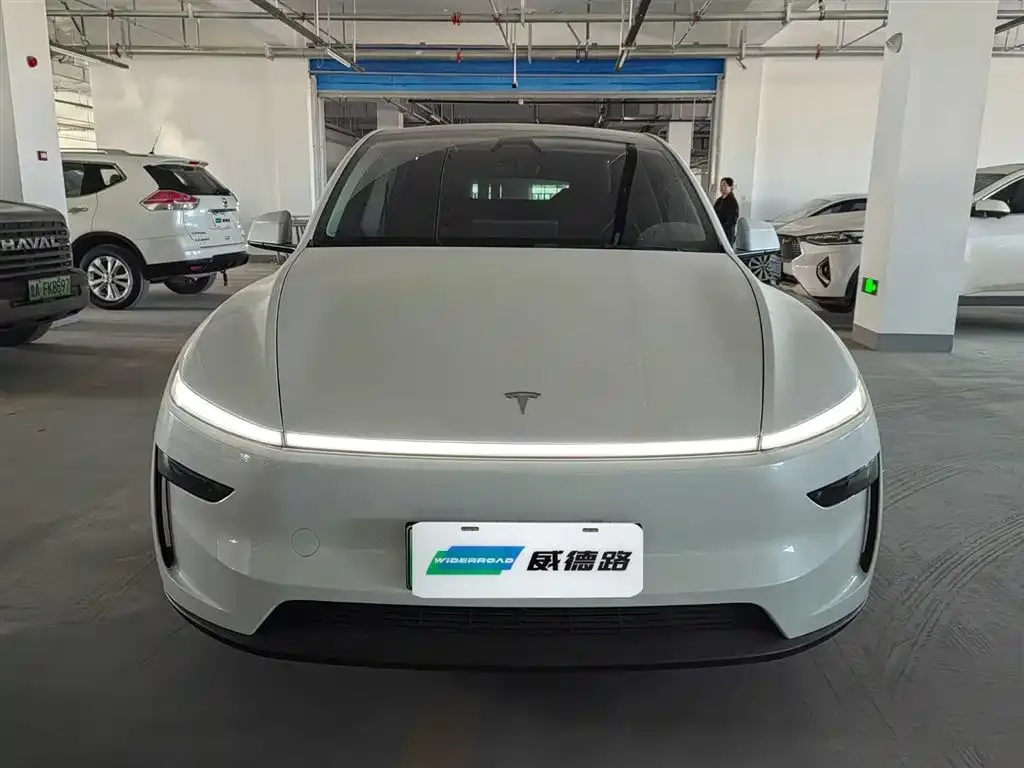Tesla Model Y 2025 из CN, фото 4