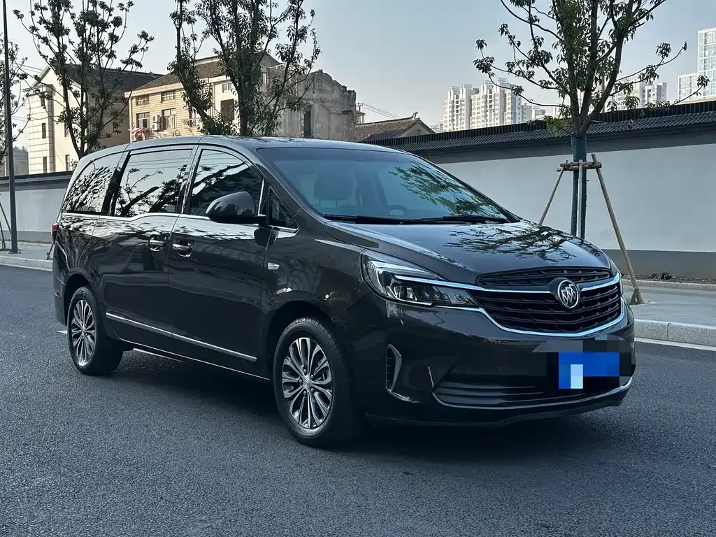 Buick GL8 2022 из CN, фото 7
