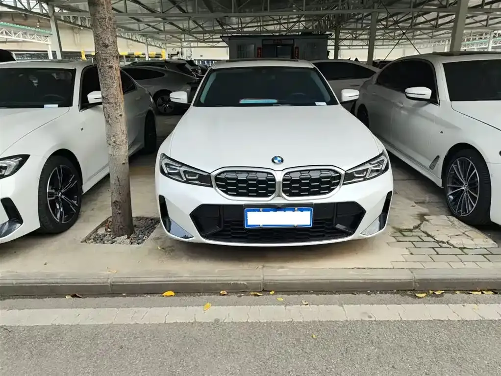BMW 3 Series 2022 из CN, фото 10
