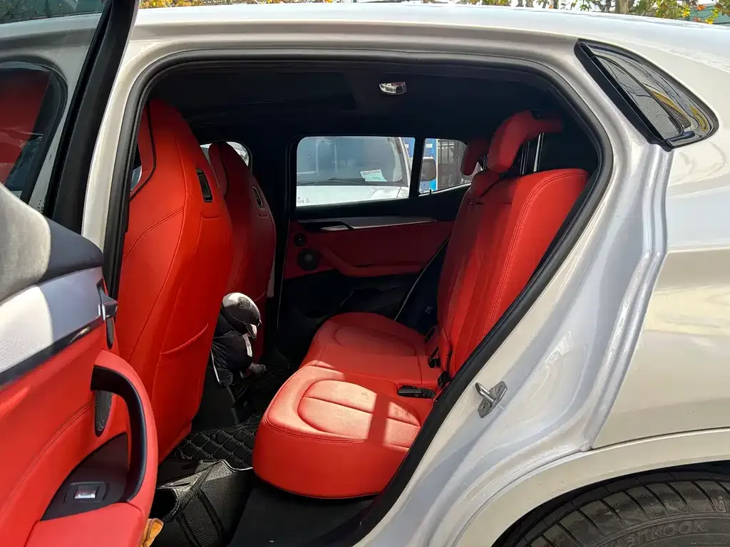 BMW X2 2021 из CN, фото 9