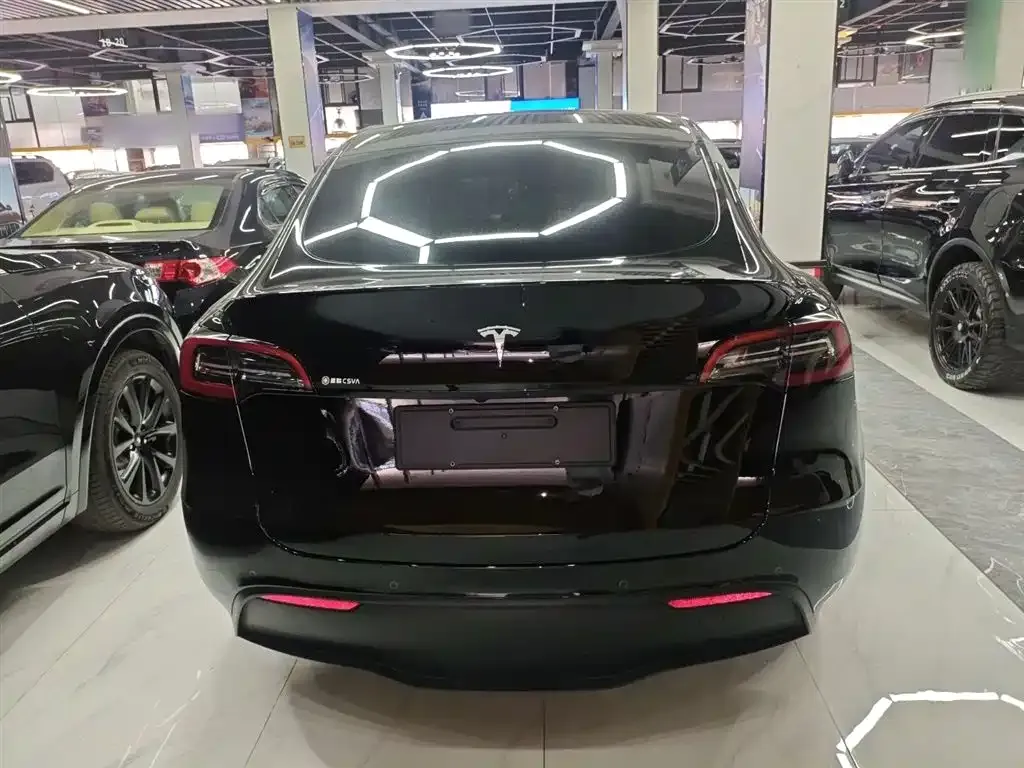 Tesla Model Y 2023 из CN, фото 4