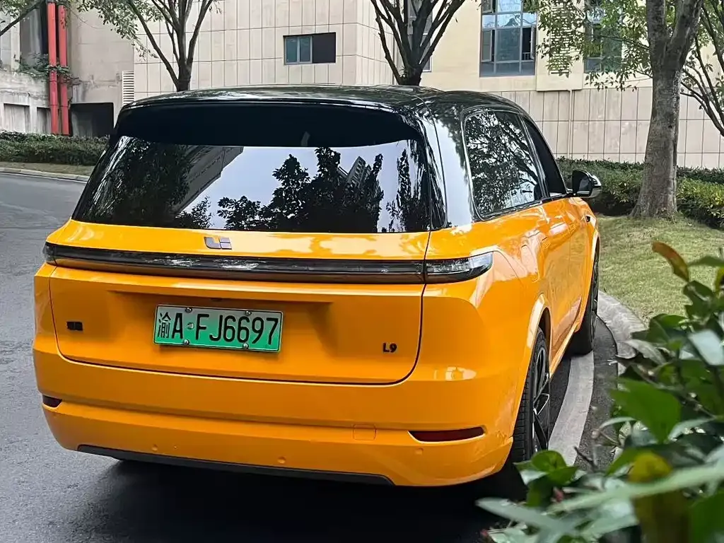 Li Auto L9 2022 из CN, фото 8