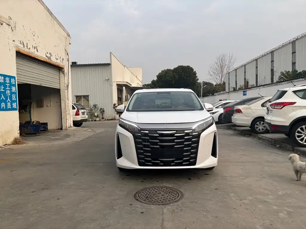 BYD Xia 2025 из CN, фото 5